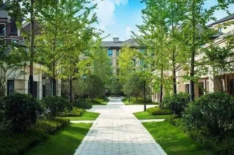 深圳景观设计：打造城市绿肺的美学实践